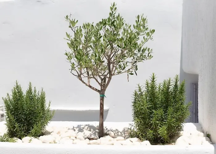 Διαμέρισμα Swell S7 New 2 Bd Flat In