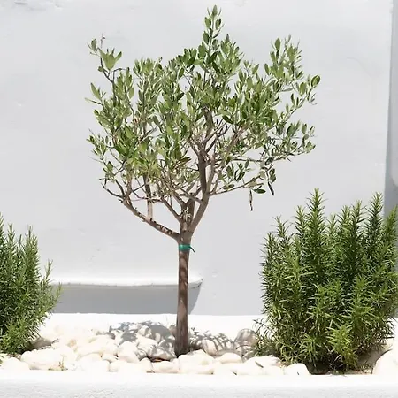 Apartment Swell S7 New 2 Bd Flat In